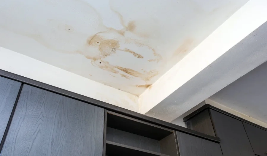 Brown water stains and discoloration on a white ceiling, located above dark wood cabinets, indicating possible water damage or a leak.