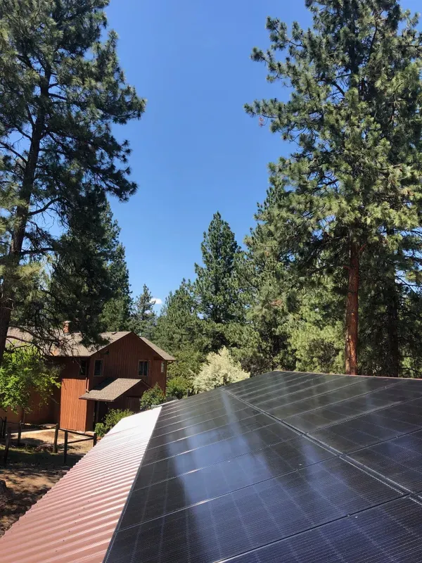 Solar panels installed on a rooftop in a wooded area with tall pine trees and a wooden house visible in the background under a clear blue sky.