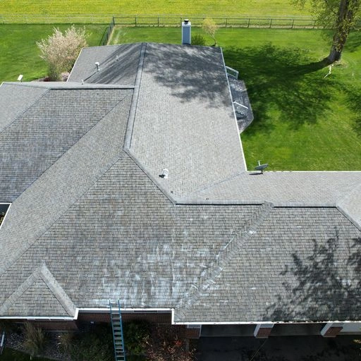 Aerial view of a house roof with noticeable discoloration and streaks, possibly from algae or moss. A blue ladder is placed against the roof at the lower edge, and green grass surrounds the house.